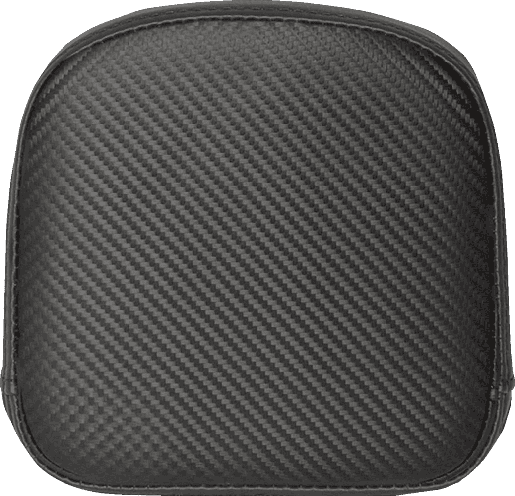 Sissy Bar Pad for RoadSofa™