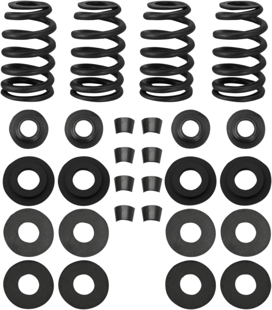 Street Performance Valve Spring Kit