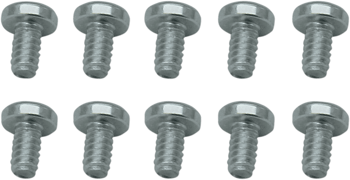 Throttle Plate Screw