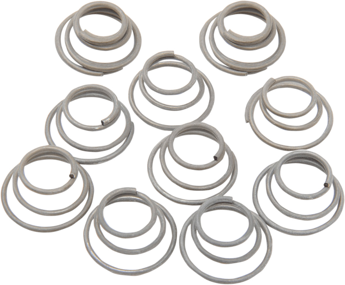 Hub Bearing Plate Retainer Springs