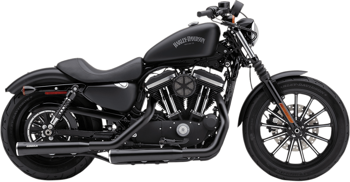 RPT 3" Slip-On Mufflers