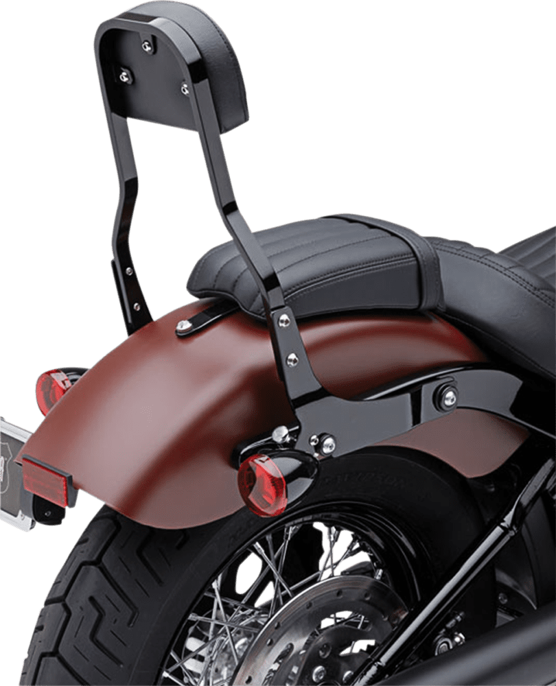 Detachable Backrest Kit