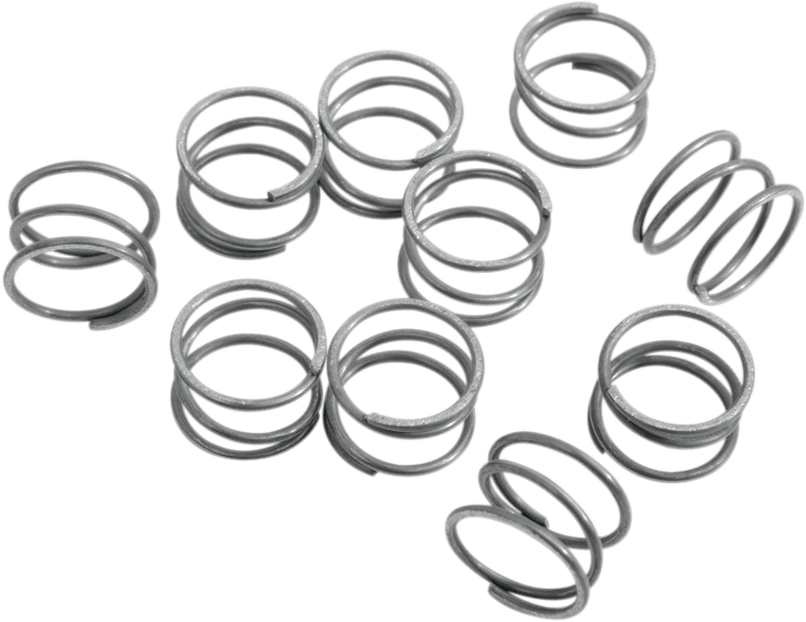 Rocker Arm Shaft Springs