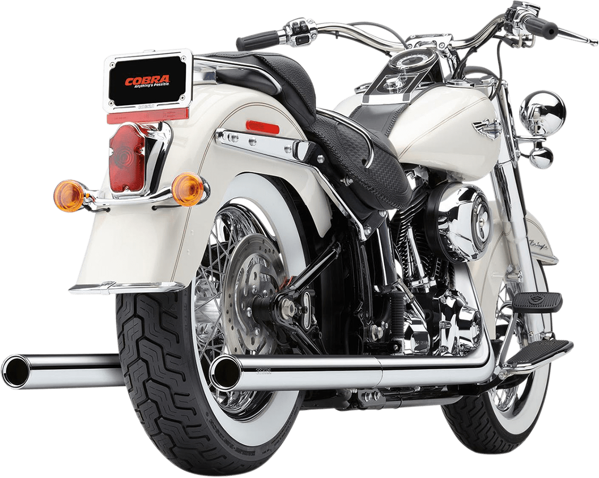 Bad Hombre Dual Exhaust System