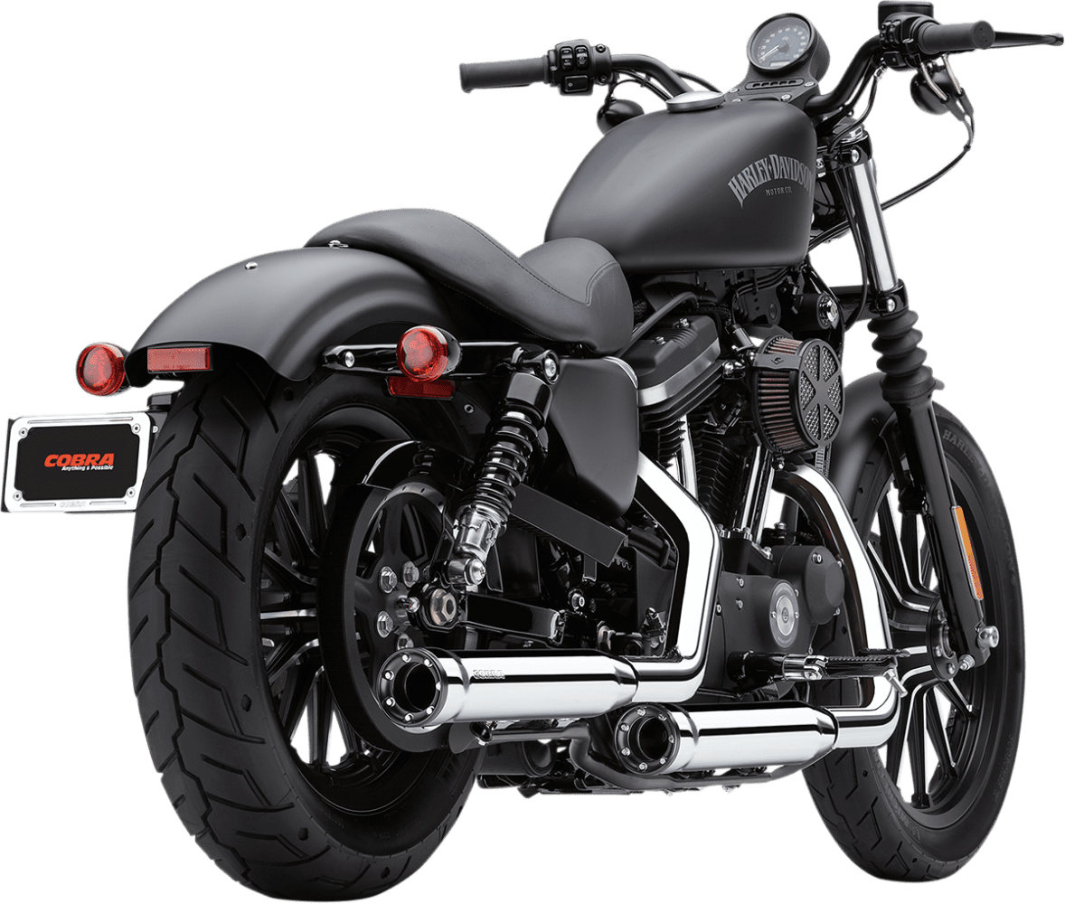 RPT 3" Slip-On Mufflers