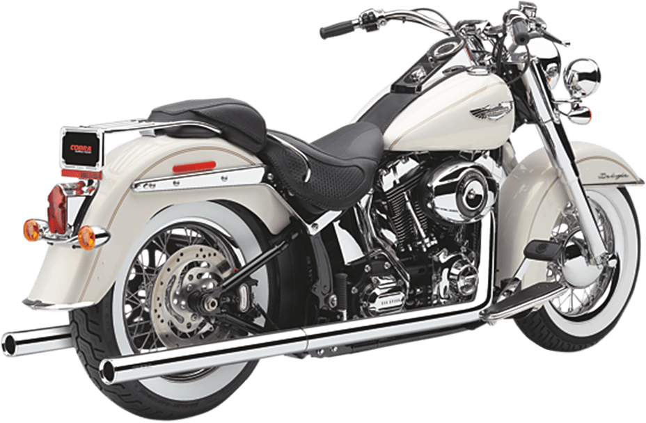 Bad Hombre Dual Exhaust System