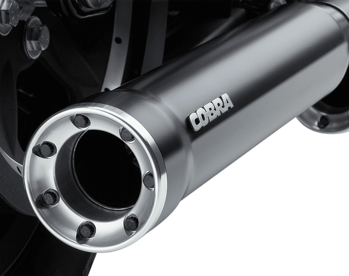 RPT 3" Slip-On Mufflers