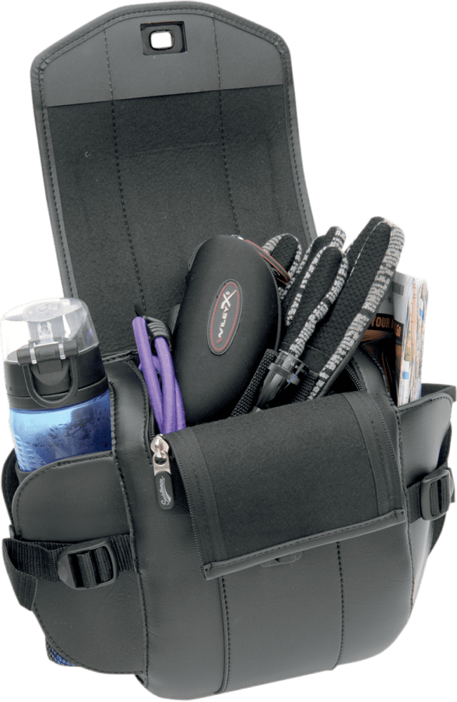 Cruis’n Deluxe Sissy Bar Bag