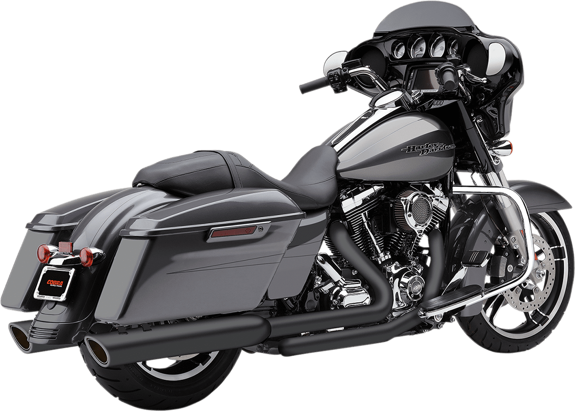 909 Twins Slip-On Mufflers