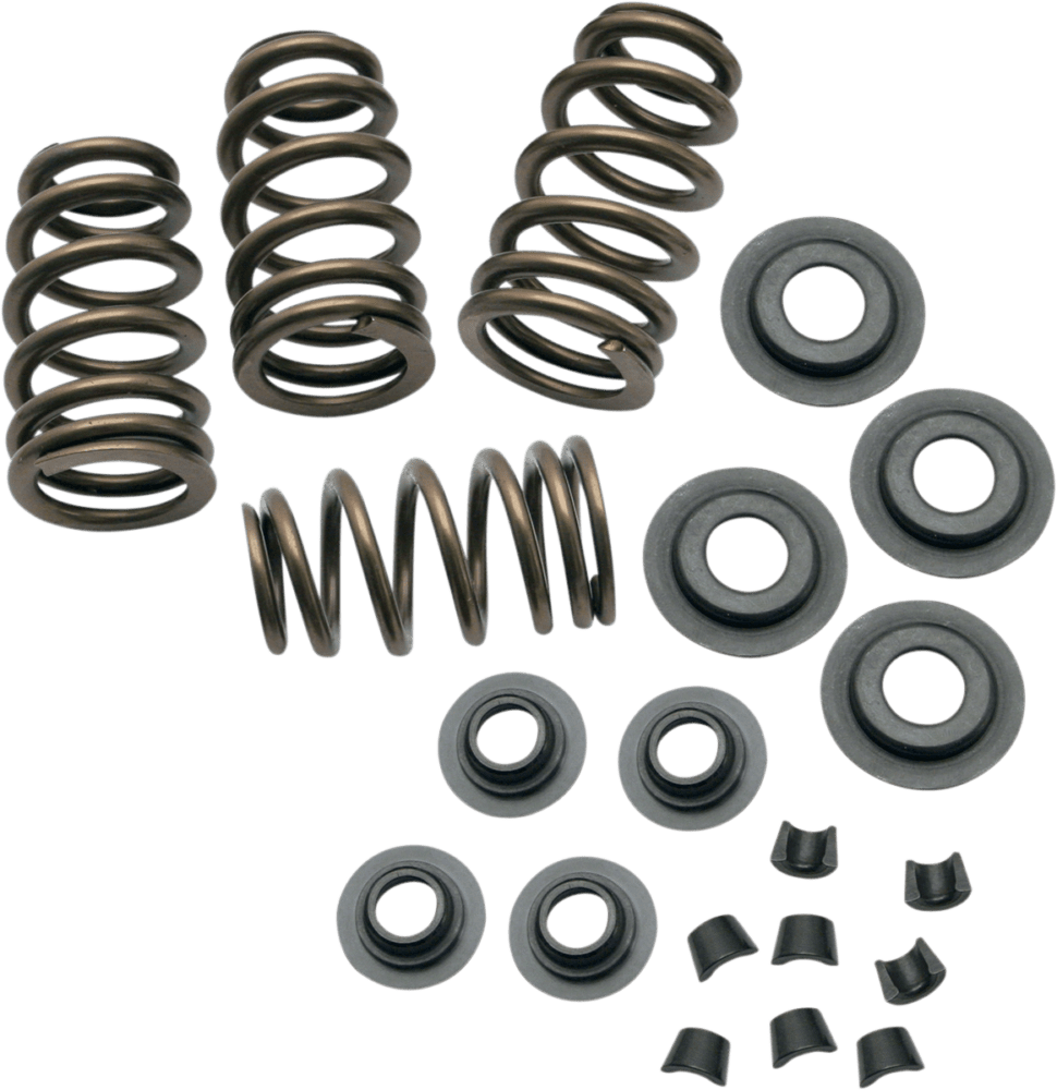 Sidewinder® .650" Valve Spring Kit