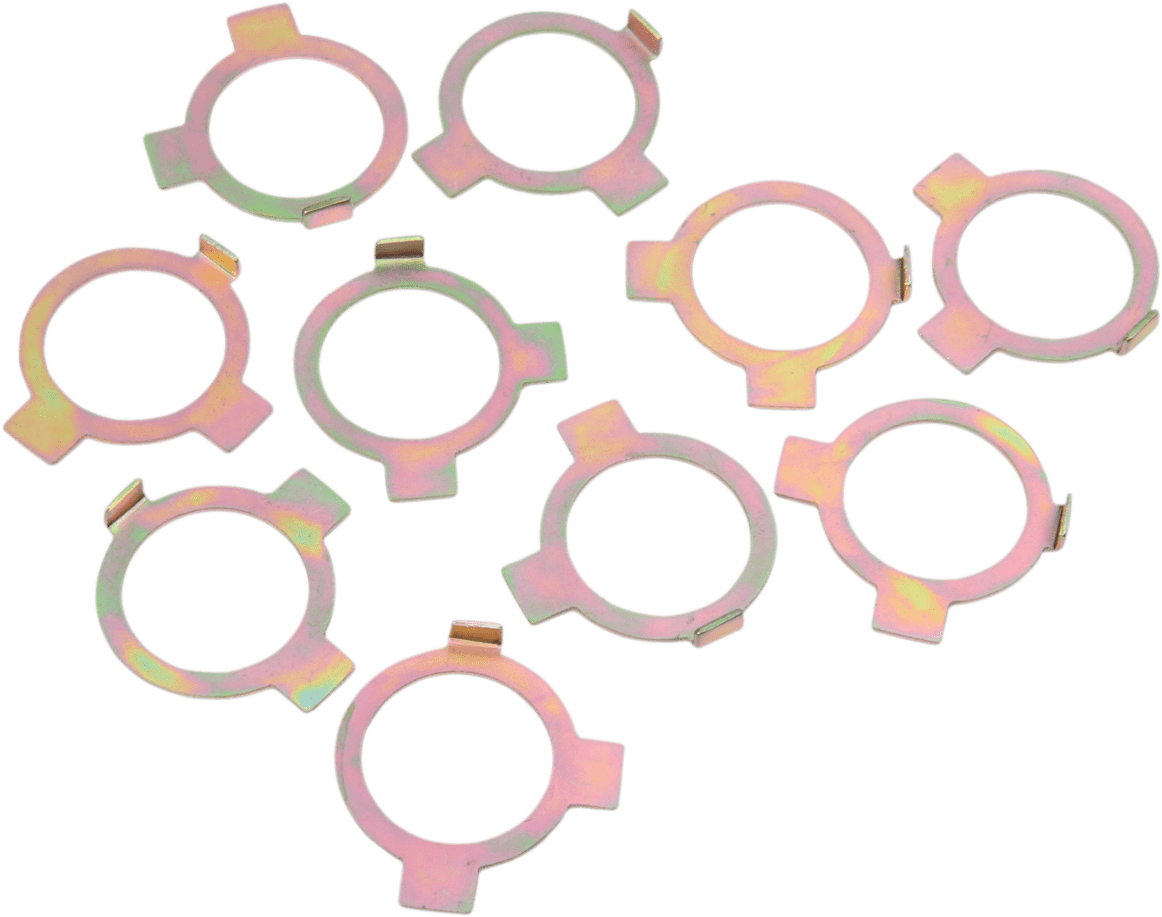 Swingarm Pivot Bolt Lock Tabs