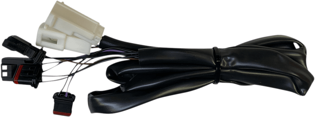 Low Rider Integrated Taillight Harness