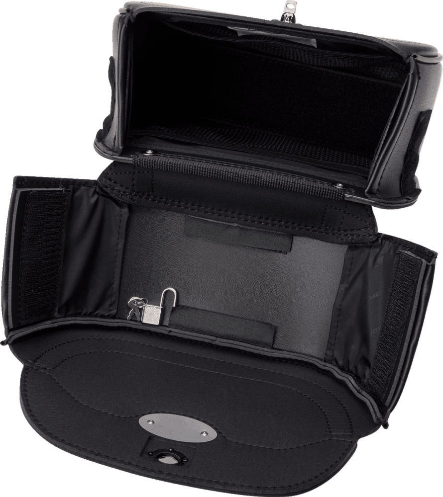 Large Cruis’n™ Sissy Bar Bag