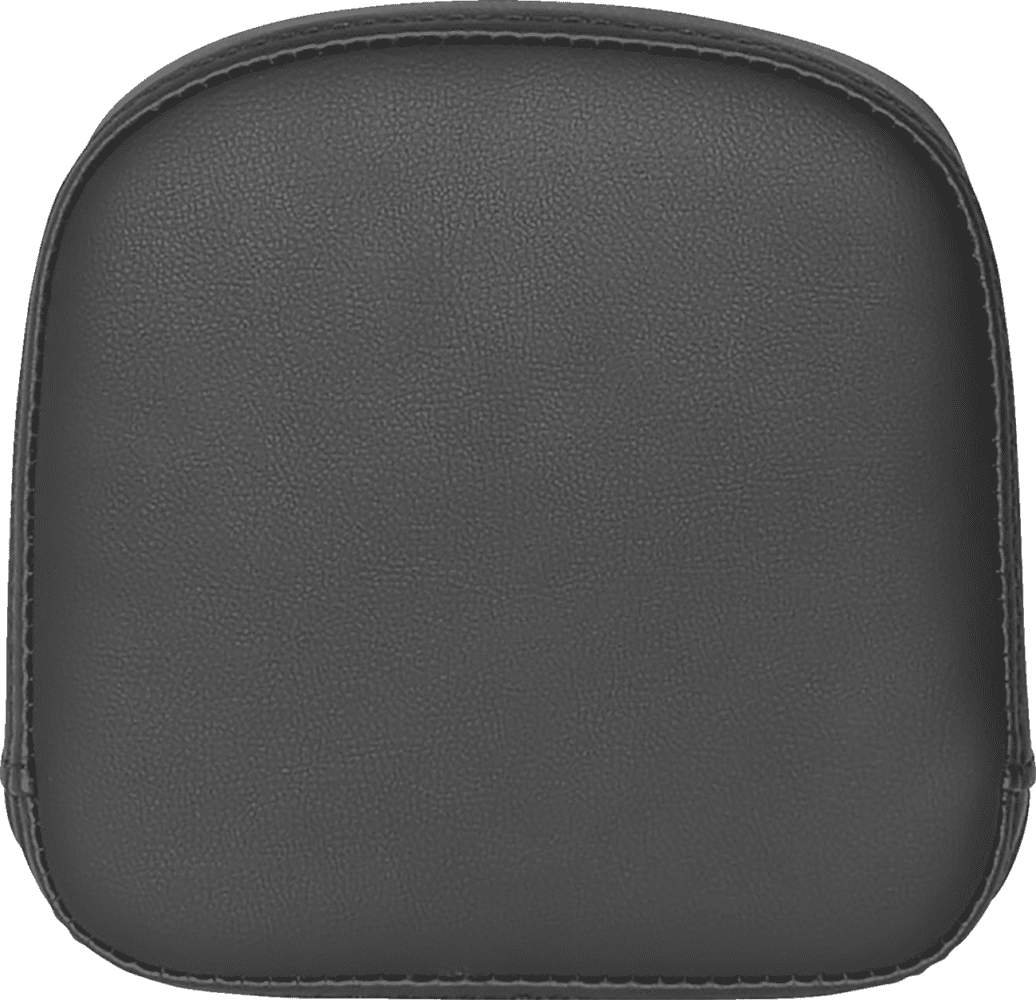 Sissy Bar Pad for RoadSofa™