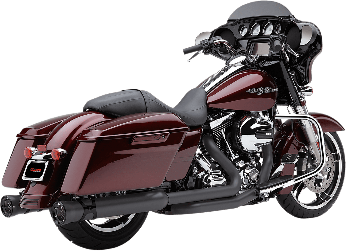 Race Pro Slip-On Mufflers