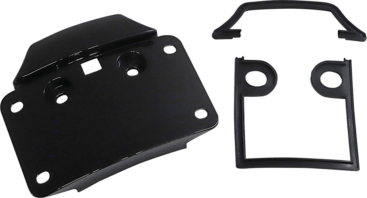 Radius License Plate Mount Assembly for CVO™