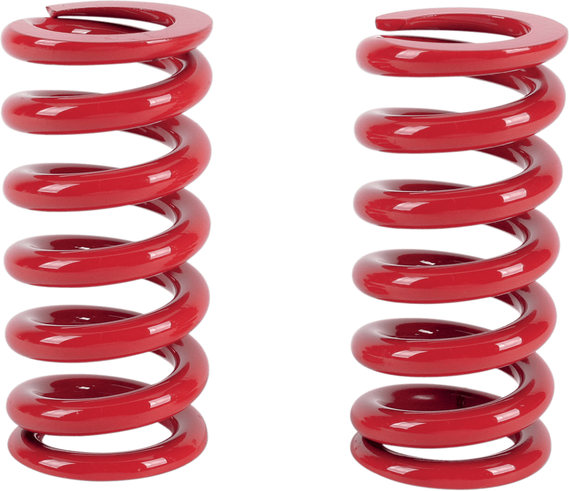 Big Shock Springs