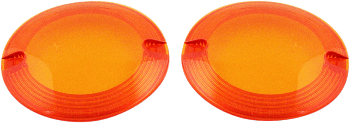 ProBEAM® Flat Signal Lenses