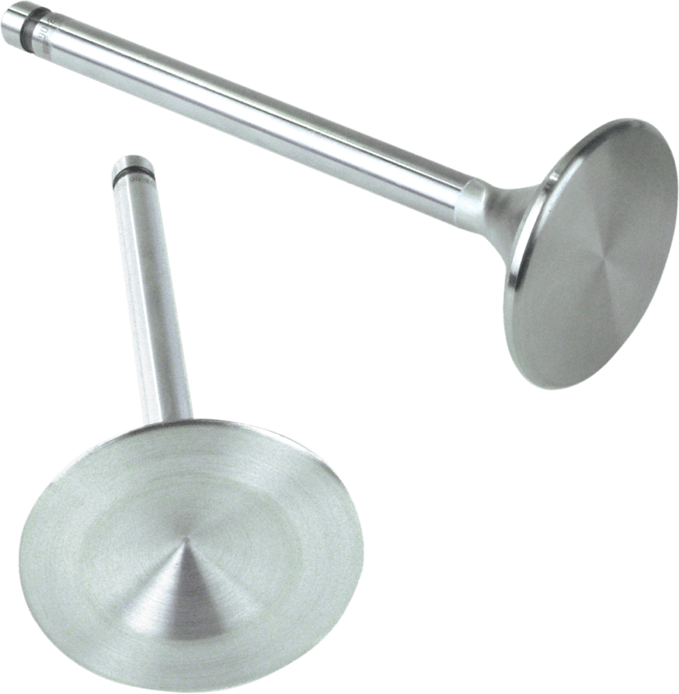 Replacement Stainless Steel Valves