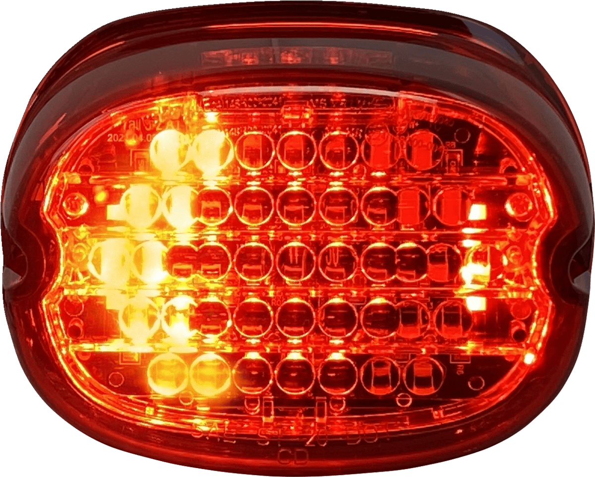Low Profile LED Taillight with Integrated Auxiliary Turn Signals