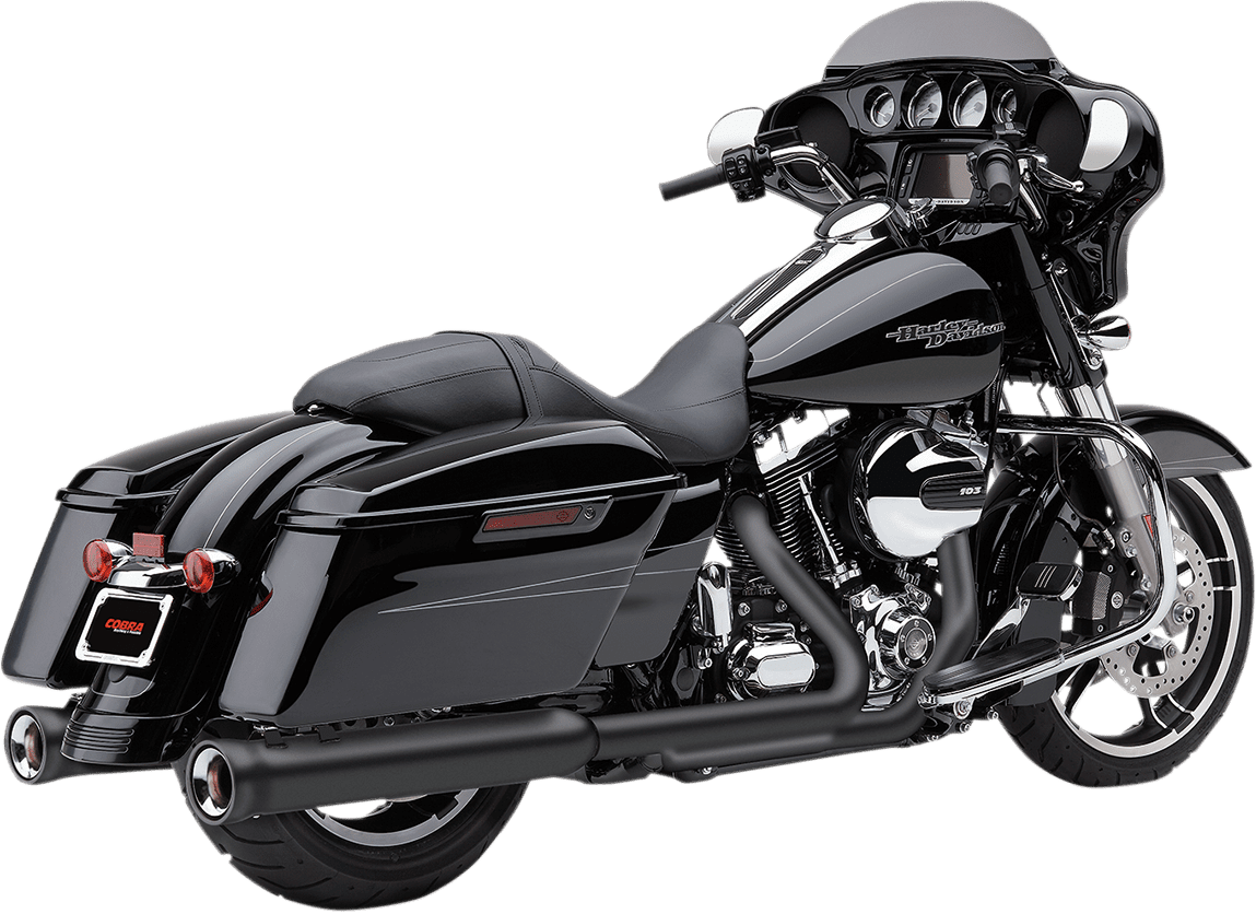 Neighbor Hater Slip-On Mufflers