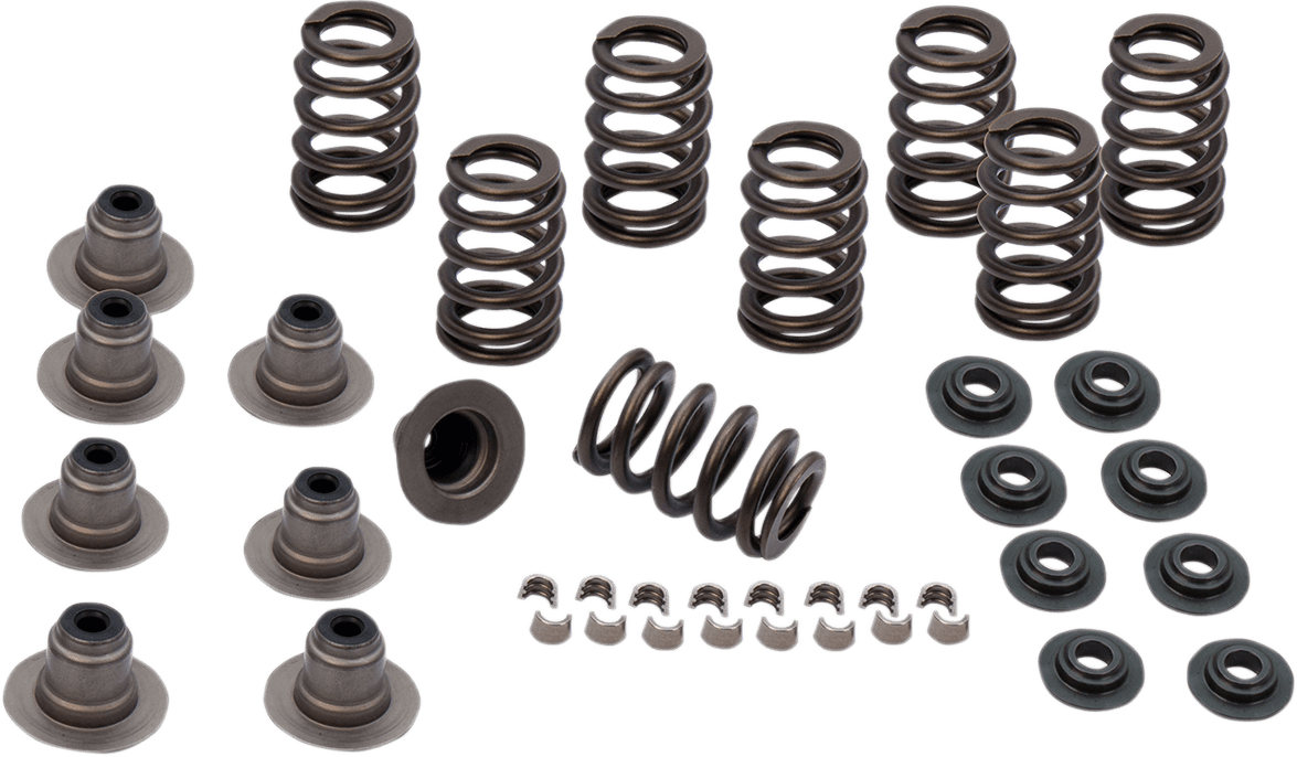 Valve Spring Kit