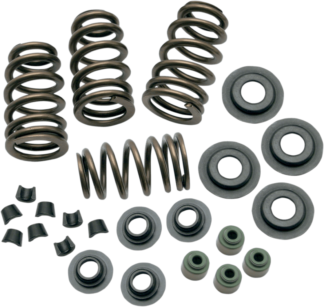 Sidewinder® .650" Valve Spring Kit