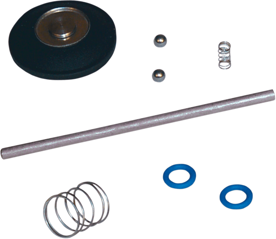 Accelerator Pump Rebuild Kit