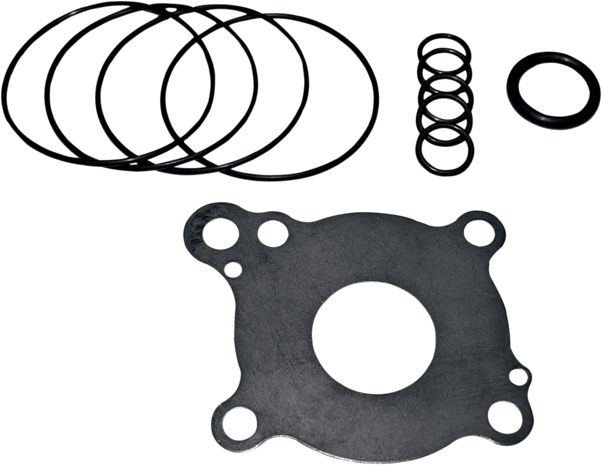 Oil Pump Rebuild Kit