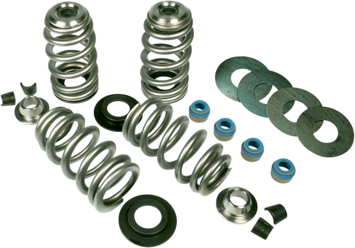 Endurance Beehive Valve Spring Kit for Screamin' Eagle Heads