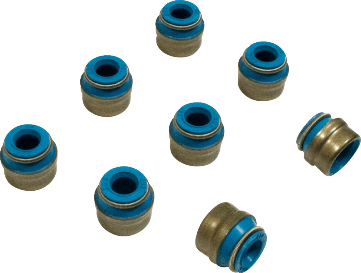 Valve Seals