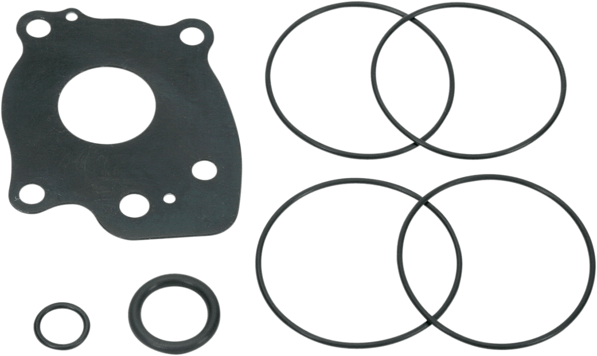 Oil Pump Rebuild Kit