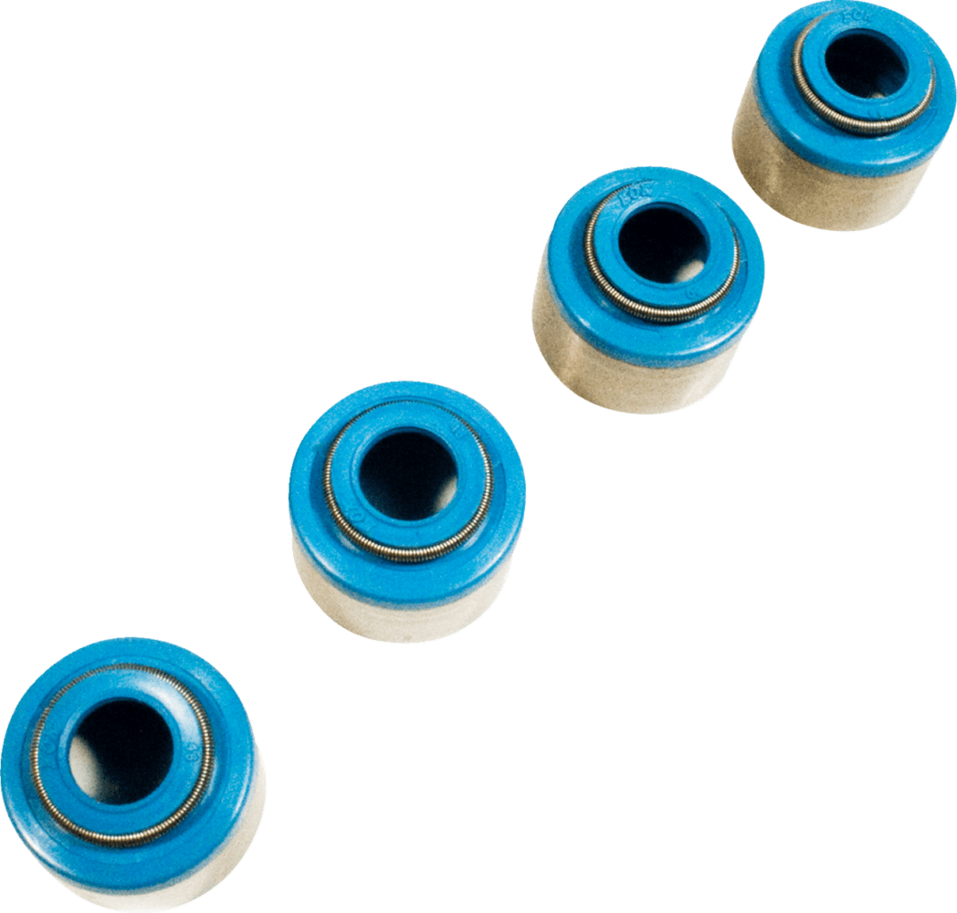 Valve Seals