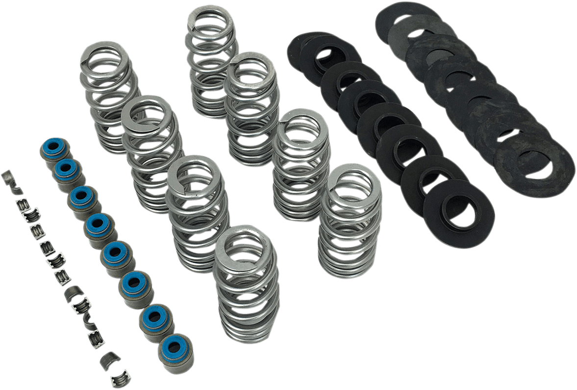 Beehive® Valve Spring Kit