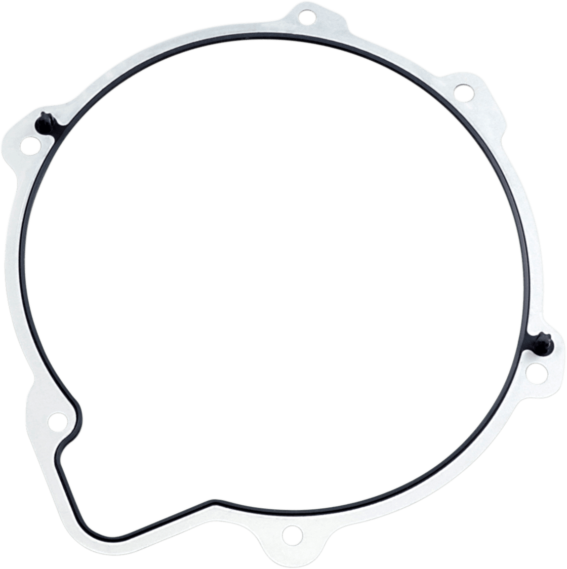 Primary Gasket
