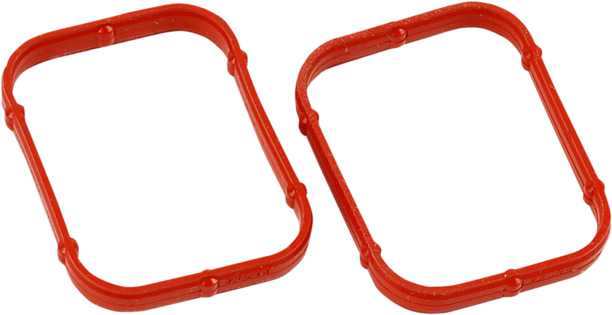 Rocker Gasket