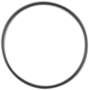 Starter O-Ring