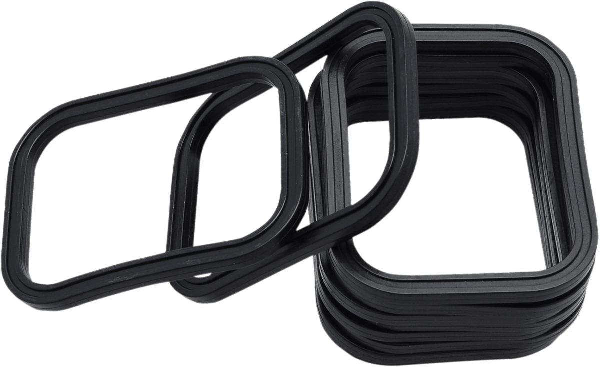 Rocker Gasket