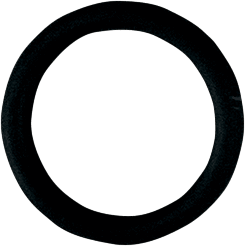 Replacement O-Ring for Fuel Check Valve
