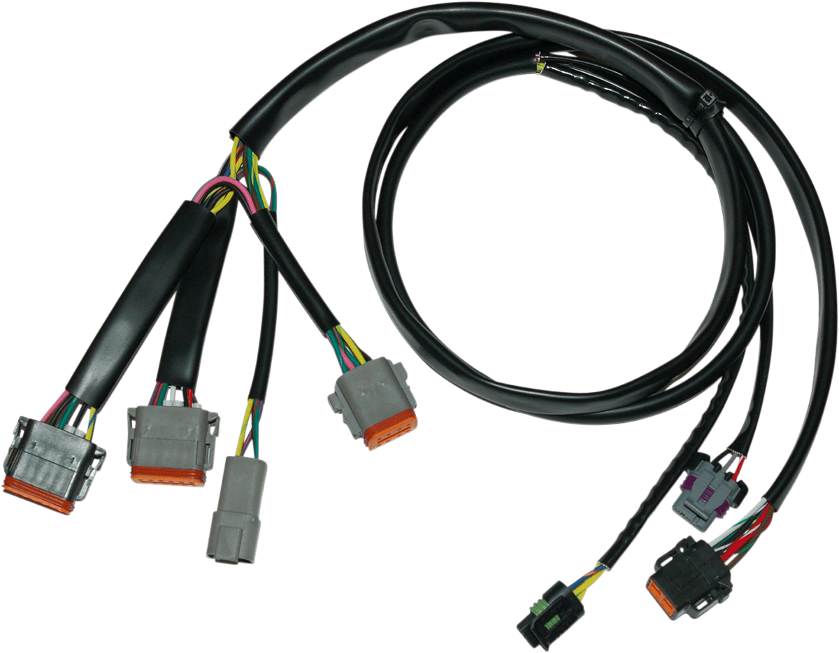 Ignition Wiring Harness