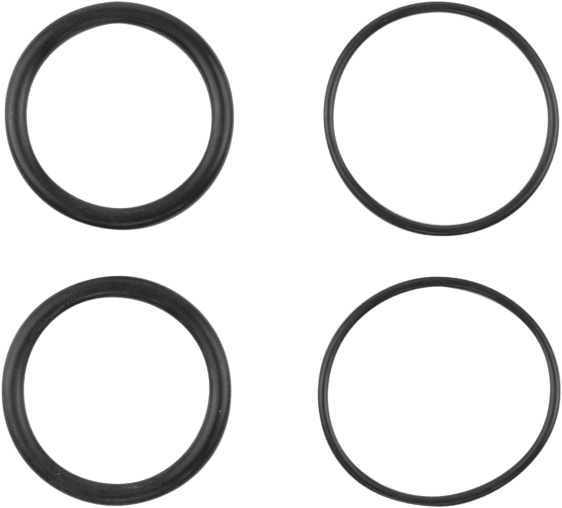 Manifold to Cylinder Head O-Rings