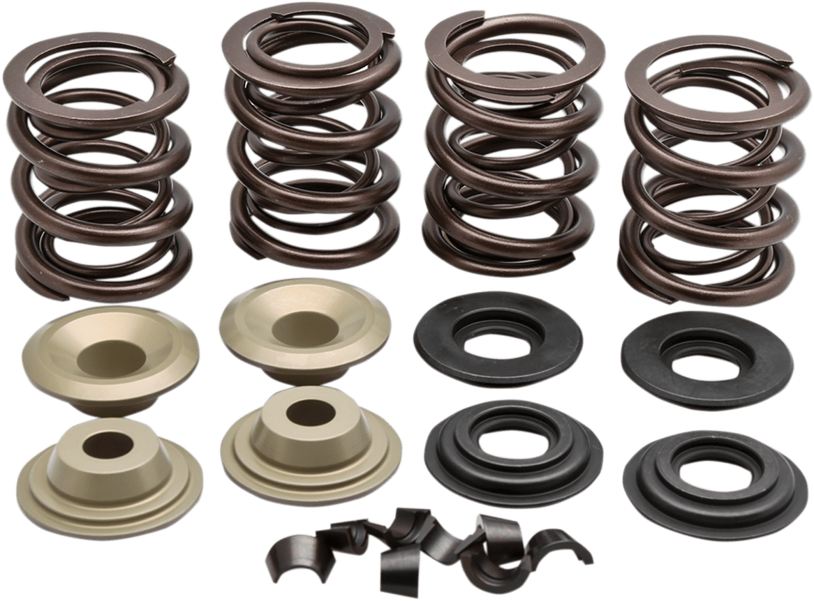 Complete Valve Spring Kit