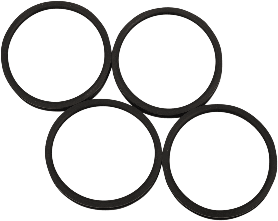 Intake Manifold Seal