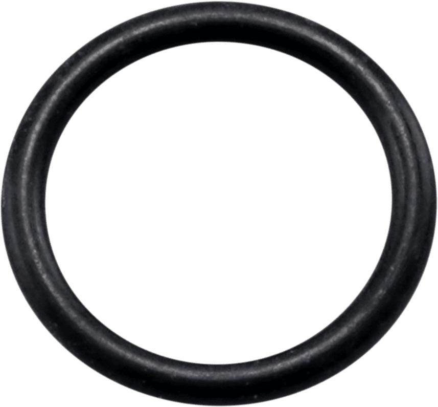 Drain Plug O-Ring