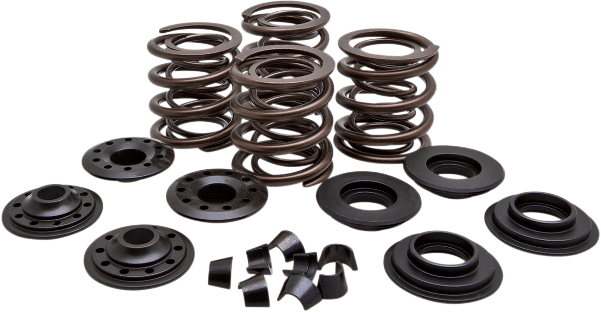 Complete Valve Spring Kit