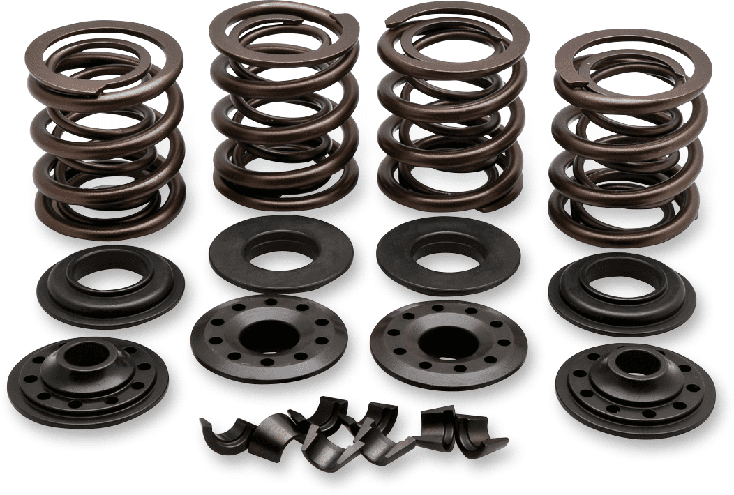 Complete Valve Spring Kit