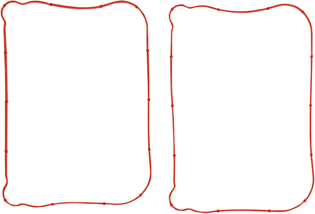 Rocker Gasket
