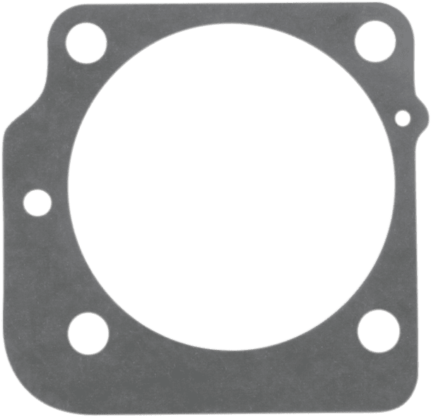Cylinder Base Gasket