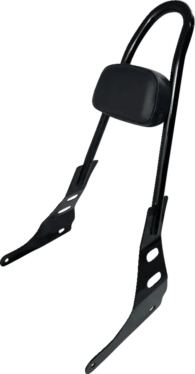 One-Piece Sissy Bar