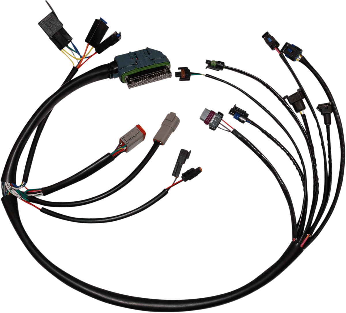 Complete EFI Wiring Harness